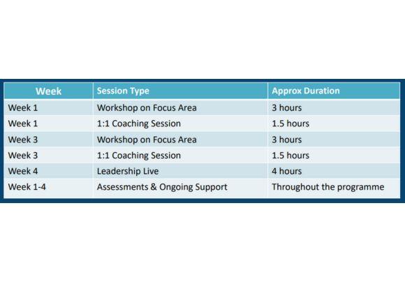 Example Investment & Format for One Person (2)
