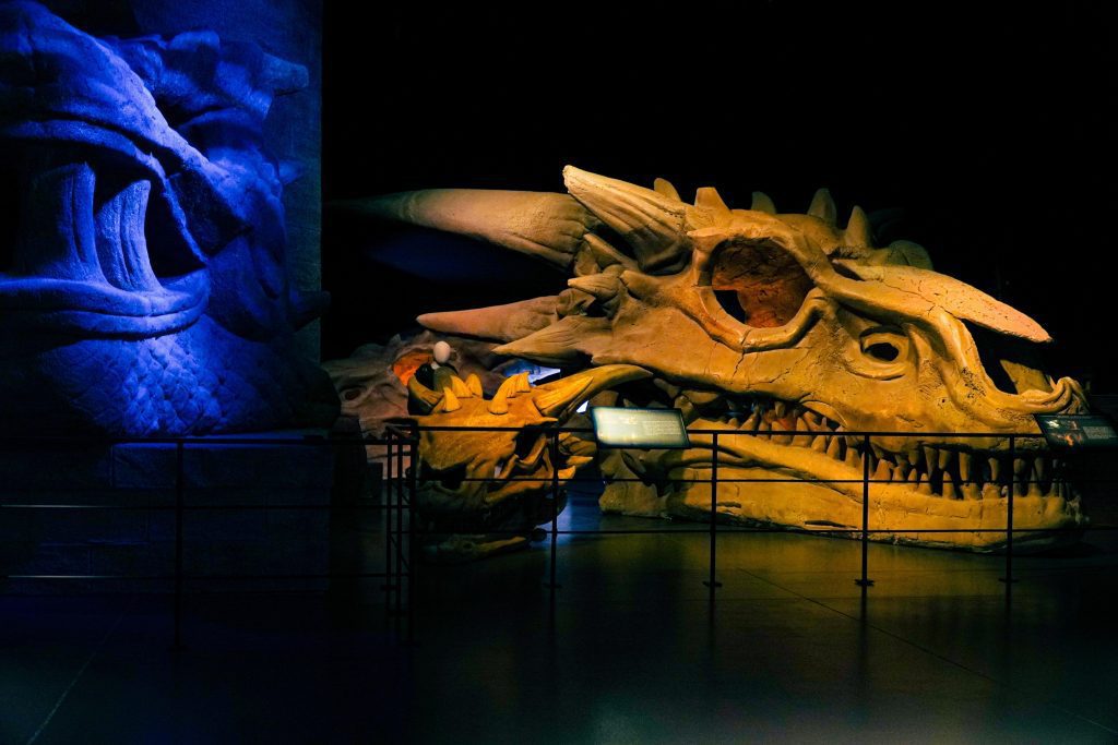 Dragon Skulls Game of Thrones Studio Tour
